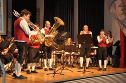Foto für Herbstkonzerte der Musikvereine des Eferdinger Landes