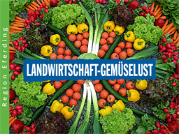 Bild Box Landwirtschaft - Gemüse Lust