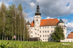 Schloss Hartheim, Alkoven